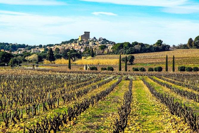 Vignoble de Châteauneuf du Pape